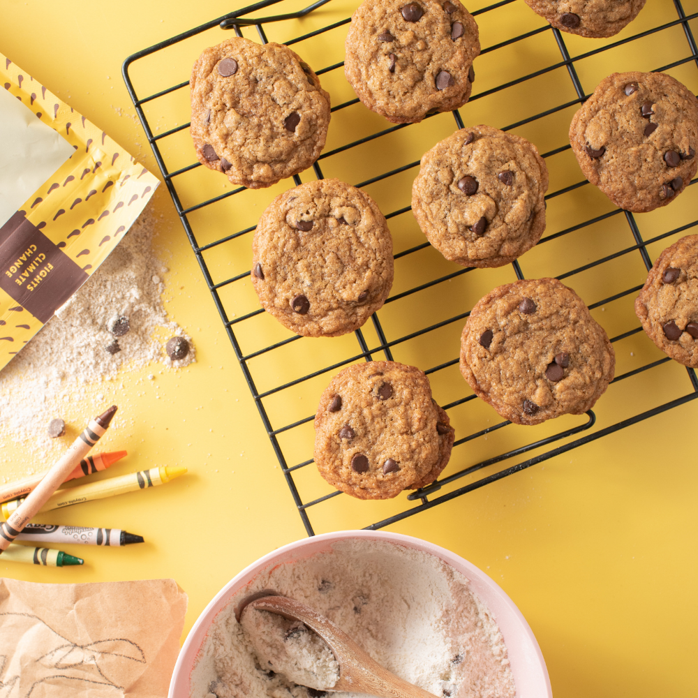 Gluten Free Chocolate Chip Cookie Mix